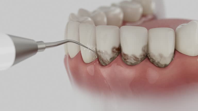 Reliable Dental contractor in Clinton, IN by Dentist Open Now